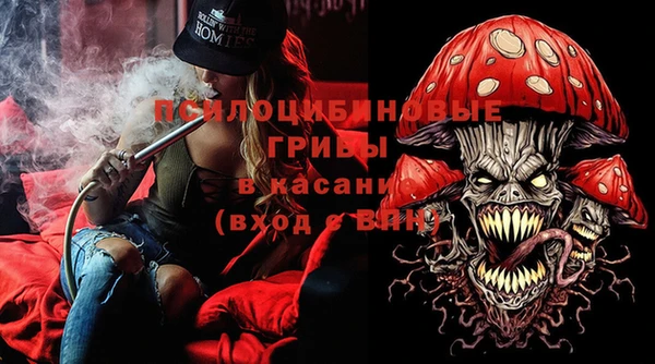гашик Абинск