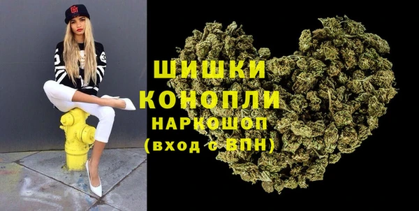 шишки Абаза