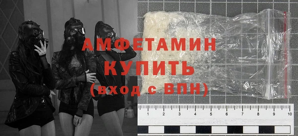 шишки Абаза