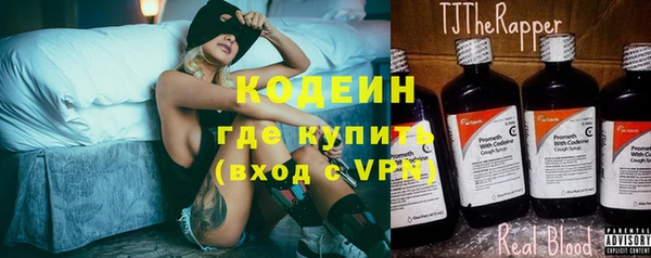 шишки Абаза