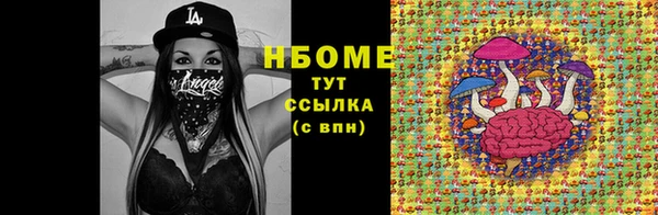 шишки Абаза