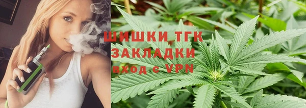 шишки Абаза