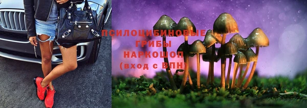 шишки Абаза