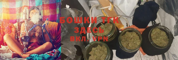 шишки Абаза