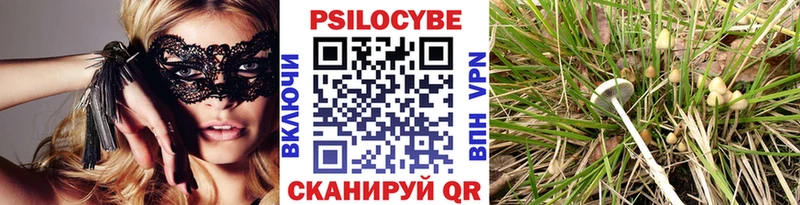 Псилоцибиновые грибы Magic Shrooms  продажа наркотиков  ОМГ ОМГ зеркало  Каргополь 